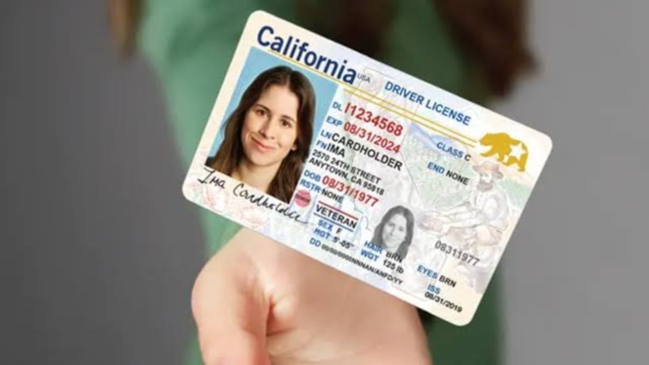 AssuranceAmerica, una aseguradora de coches que opera a través de una red de agentes independientes, ha revelado una filtración de datos que afecta a casi 7 millones de personas.