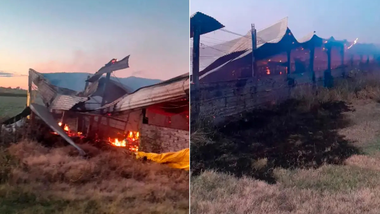 El incendio ocurrió este lunes por la mañana en un establecimiento rural sobre Ruta 20, en jurisdicción de Lucas Sud Primera, en Villaguay. Las llamas destruyeron por completo el galpón y provocaron la muerte de 500 animales porcinos.