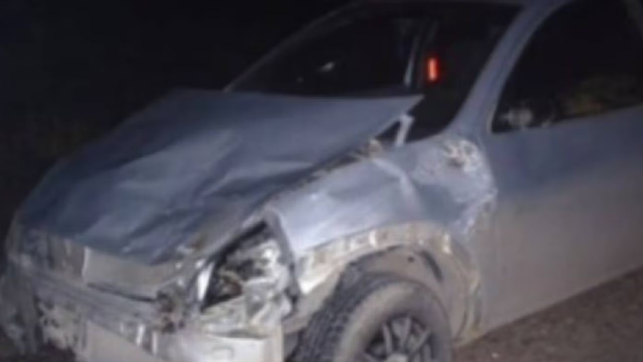 El hecho ocurrió cerca de Dolavon, cuando la compuerta del transporte de ganado se abrió y el animal quedó sobre la calzada. El camionero fue multado por falta de medidas de seguridad.