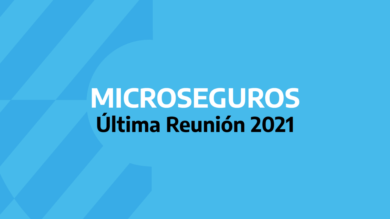 El miércoles 29 de diciembre se realizó la décimo segunda reunión del Grupo de Trabajo de Microseguros, liderado por el Ministerio de Economía y la SSN...