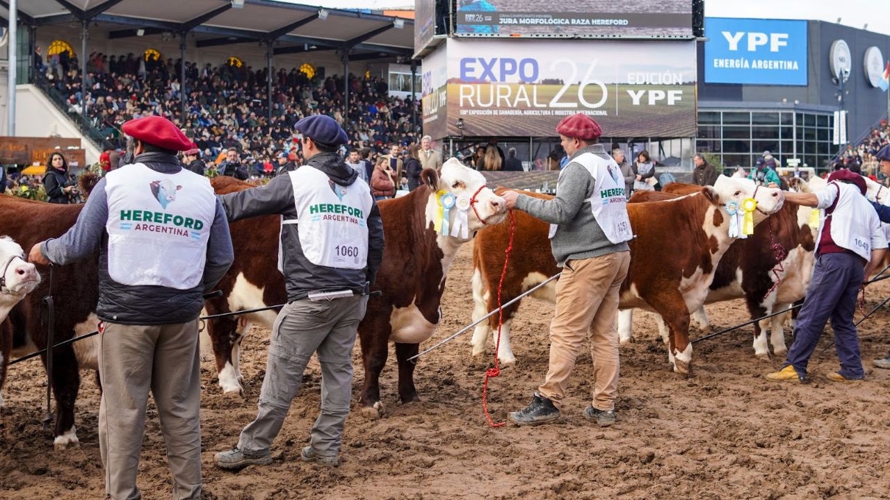 En la jornada organizada por ADIRA en la 138° Exposición Rural, se analizó el presente y el futuro de los seguros ganaderos, las coberturas paramétricas y más.